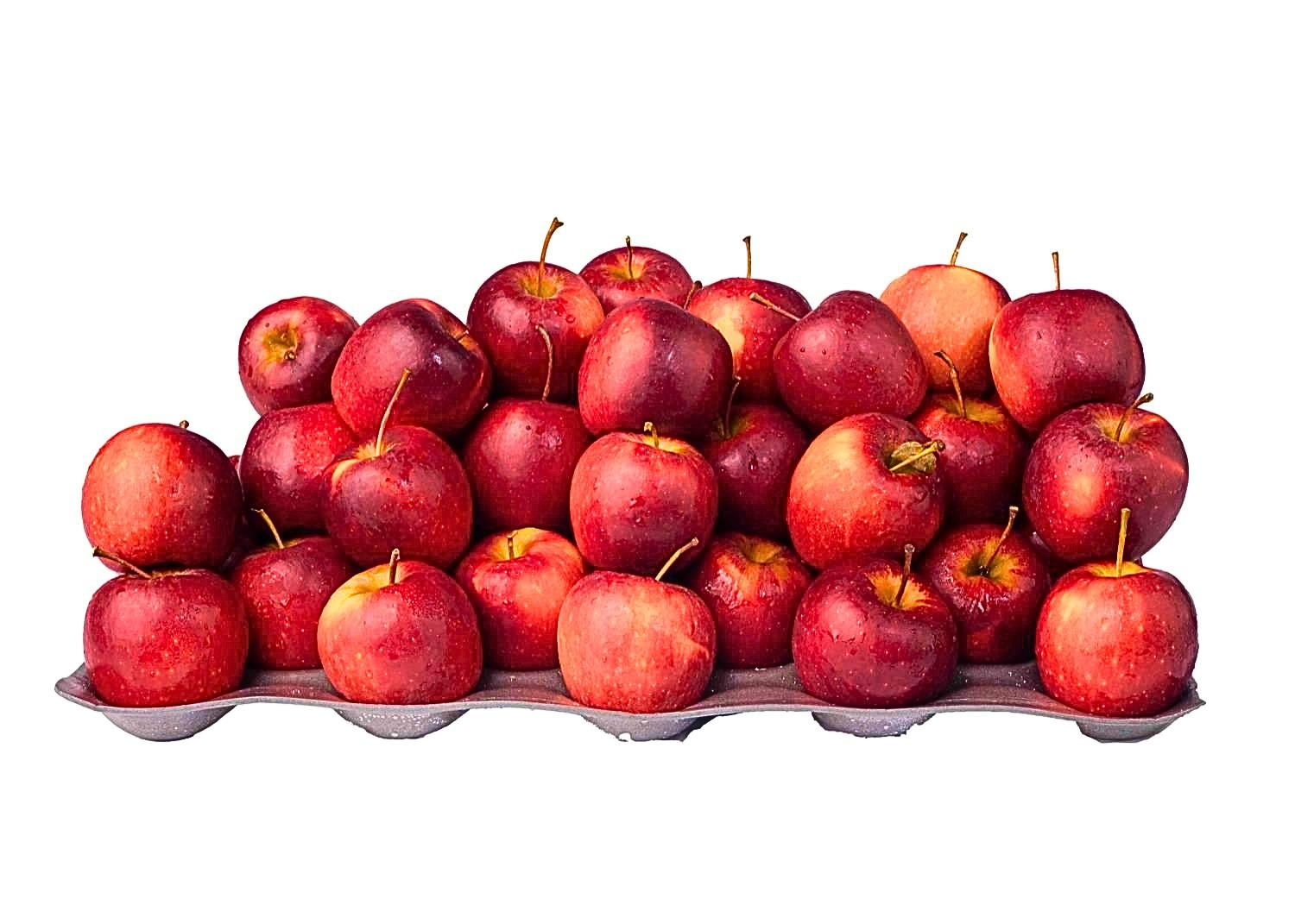 FRESH APPLE RED ×6 thumbnail 2