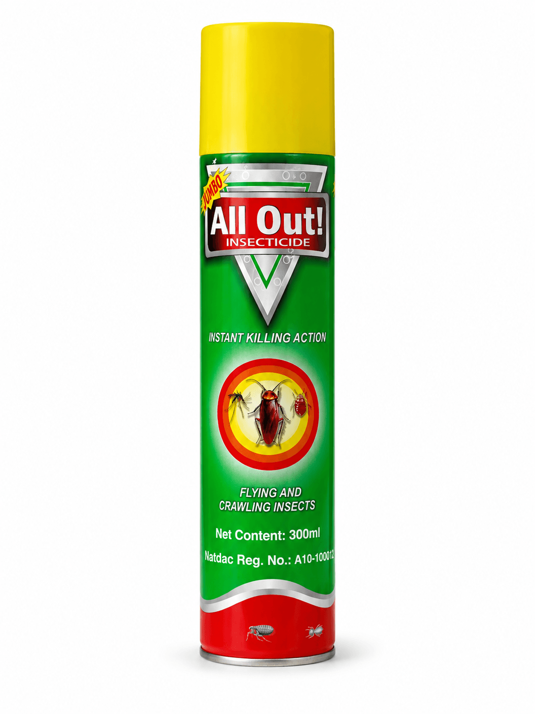 All Out Insecticide 300ml
