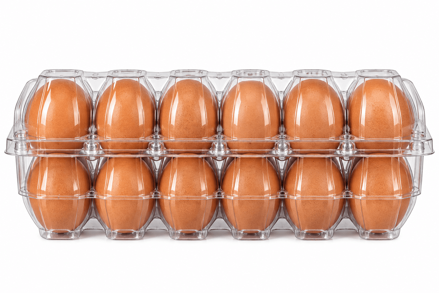 Gram Olive Eggs Pack Of 12