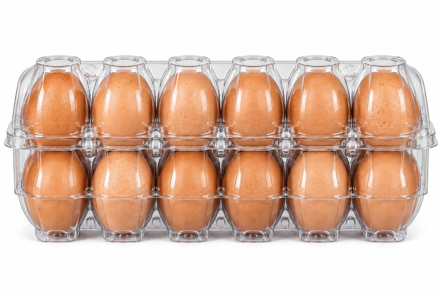 Psolver Eggs Pack Of 12