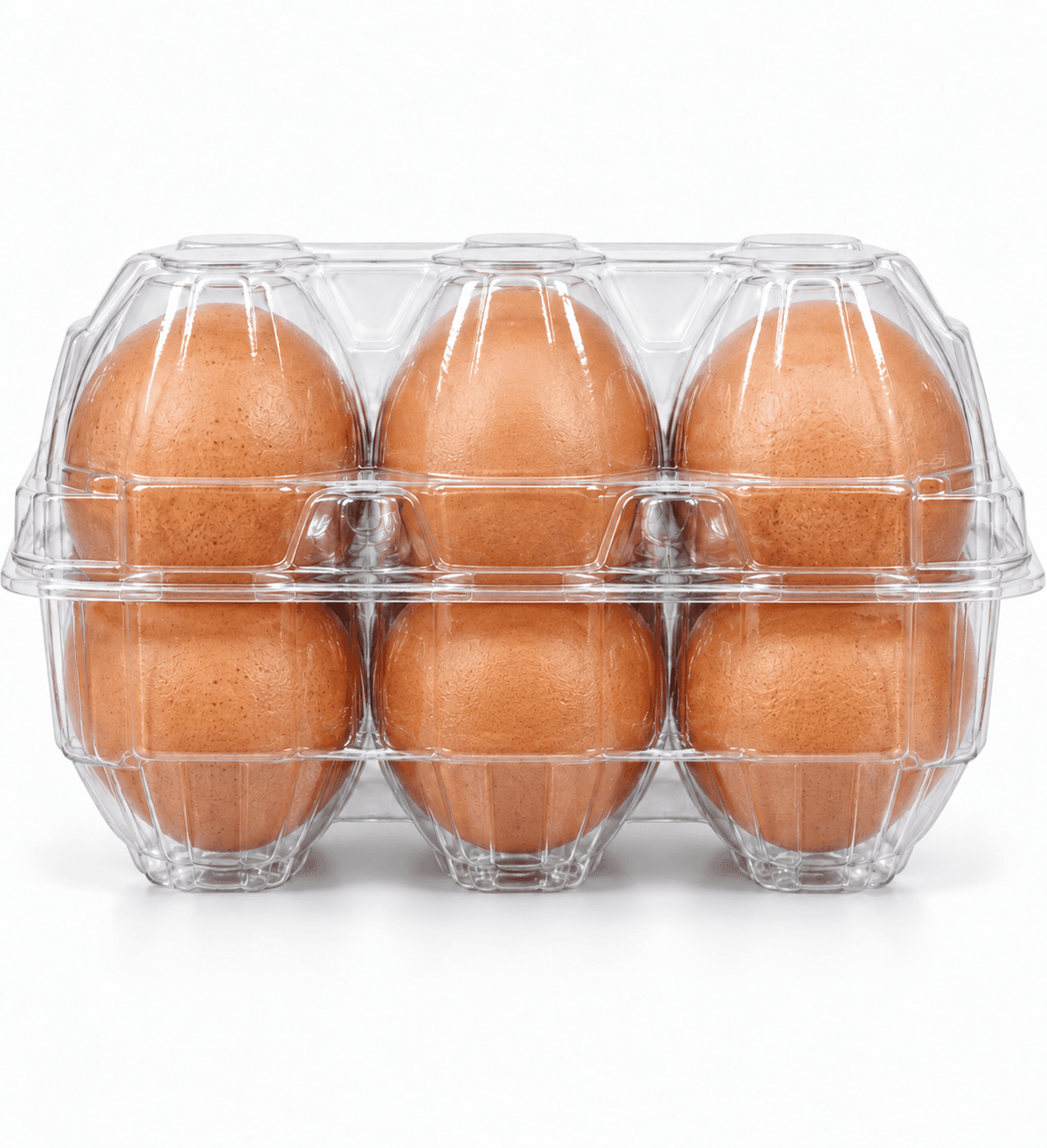 Rudcon Eggs 6pcs Pack